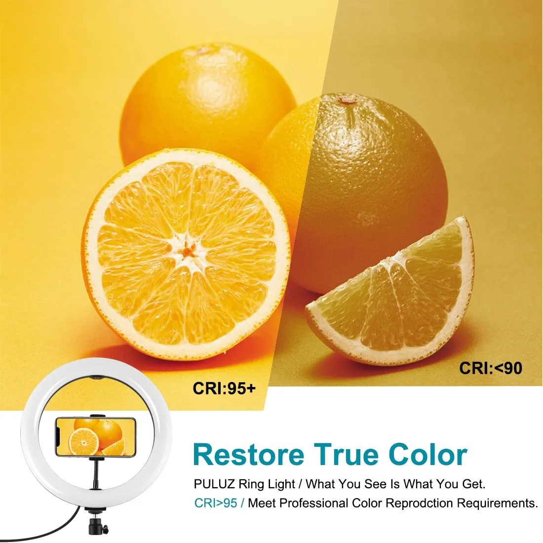 10.2 26cm Ring Light Kit with Tripod Usb 3 Modes Dual Colour Phone Clamp Remote - Black